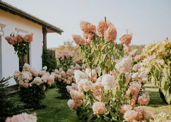 Gosciniec Winnica 3* Slawica